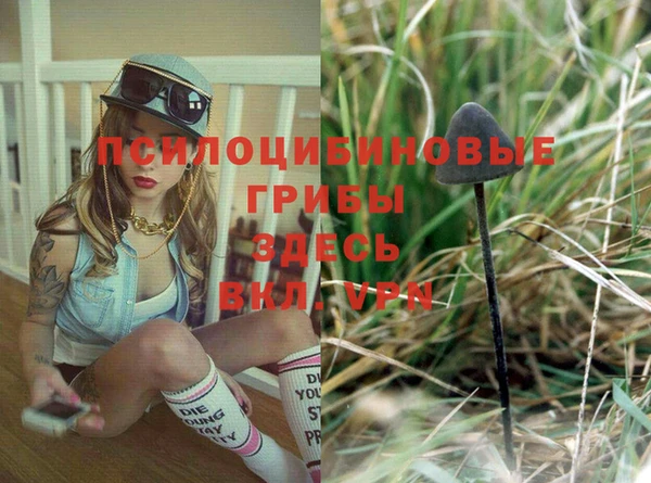 не бодяженный Балахна