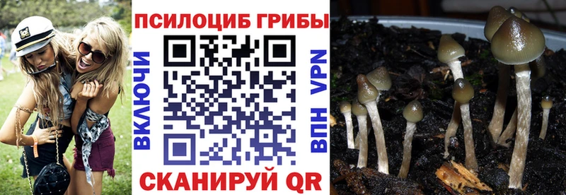 Галлюциногенные грибы мицелий магазин Красноперекопск